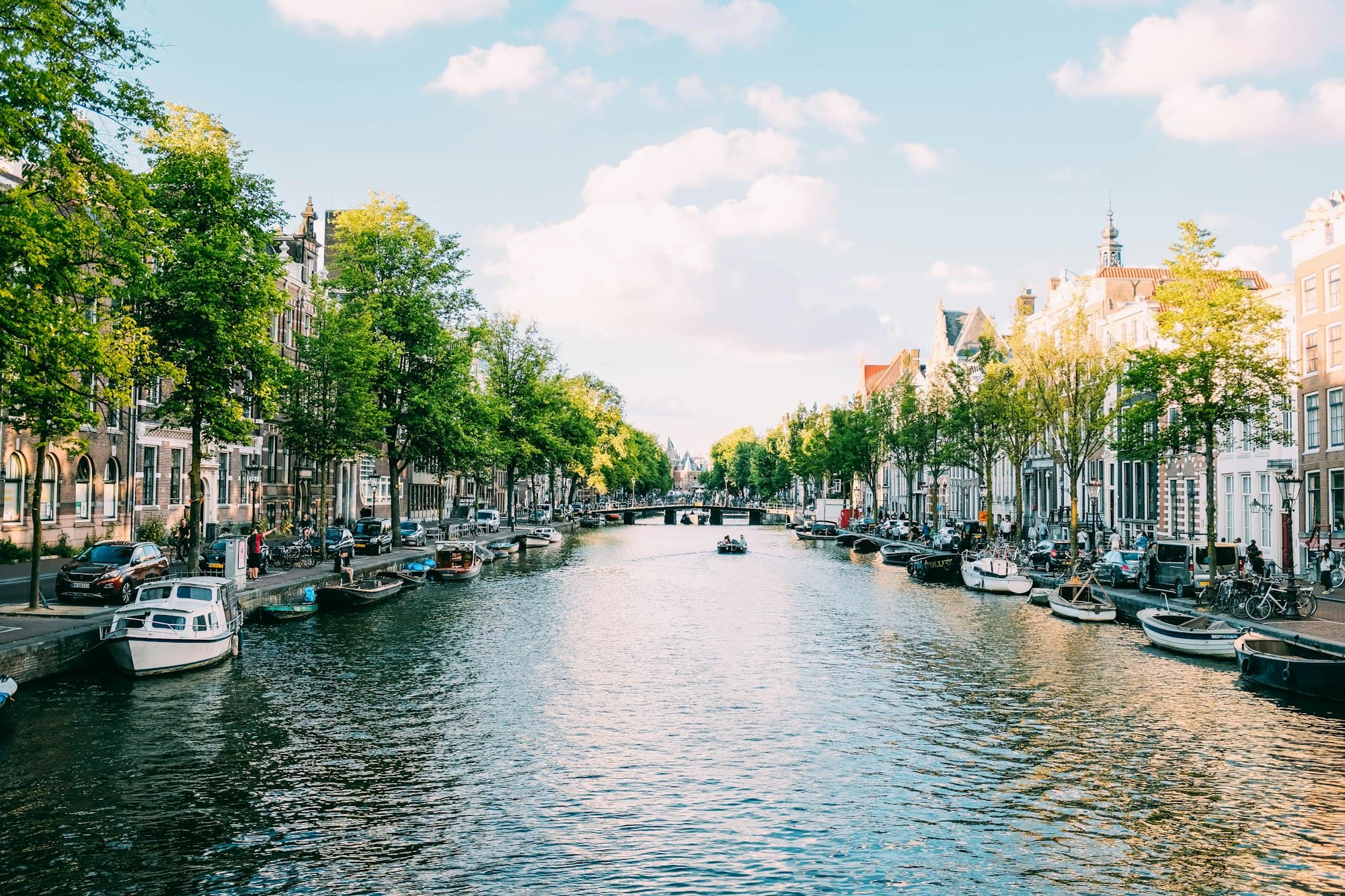 Boats moored along a tree-lined canal in Amsterdam